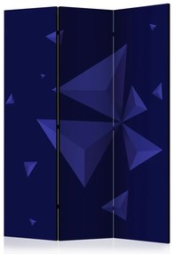 Artgeist Paraván - Meteor shower [Room Dividers]