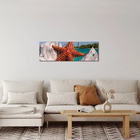 Obraz morskej hviezdice (s hodinami) (90x30 cm)