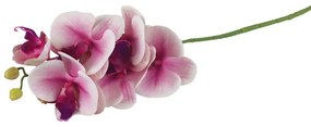Umelá orchidea X4920-11