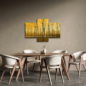 Obraz lesa pri západe slnka (90x60 cm)