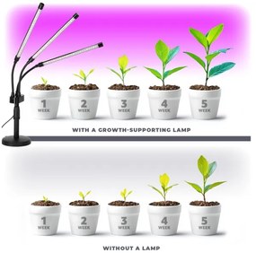 Brilagi - LED Stmievateľná lampa na pestovanie rastlín VITABLOOM 3xLED/10W/230V