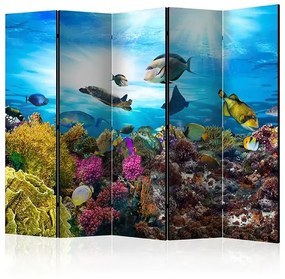 Paraván - Coral reef II [Room Dividers] Veľkosť: 225x172, Verzia: Obojstranný