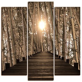 Obraz na plátne - Drevená promenáda v bambusovom lese - štvorec 3172FC (75x75 cm)