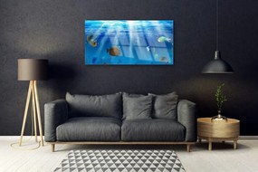 Obraz na skle Ryba príroda 120x60 cm