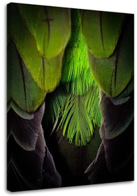 Obraz na plátně Pírko ptáka Příroda Zelená - 70x100 cm