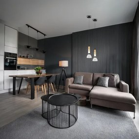 LED Luster na lanku LUCCO LED/13W/230V pr. 15 cm dymová