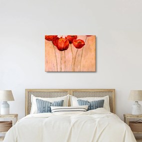 Obraz - Červené tulipány (70x50 cm)