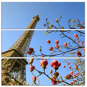 Obraz na plátne - Eiffelova veža v jarnom období - štvorec 334C (105x105 cm)