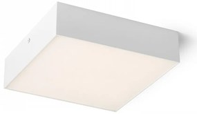 LARISA SQ 40 | Stropné štvorcové LED svietidlo Farba: Biela