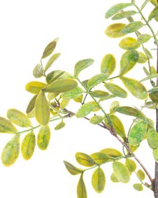 Vetvička Green Twig 100cm