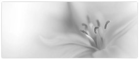 Obraz - Jemná ľalia (120x50 cm)