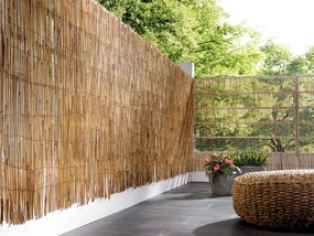 LIVARNO home Tieniaca clona z trstiny, 1 x 6 m  (100371984)