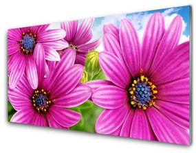 Nástenný panel  Kvety 140x70 cm