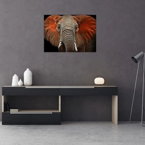 Sklenený obraz - Slony z Tsavo (70x50 cm)