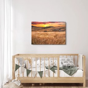 Obraz pole (90x60 cm)