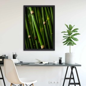 Gario Plagát Bambusový les Farba rámu: Bez rámu, Rozmery: 40 x 60 cm