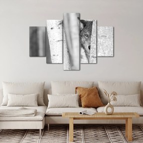 Obraz - Vlk v lese (150x105 cm)