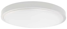 LED Kúpeľňové stropné svietidlo LED/18W/230V 4000K IP44 biela