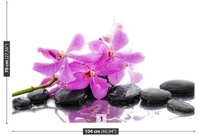 Fototapeta Vliesová Ružová orchidea 416x254 cm