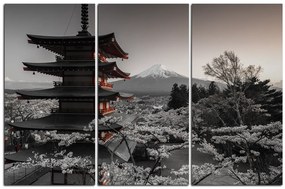 Obraz na plátne - Pohľad na horu Fuji  161FB (120x80 cm)