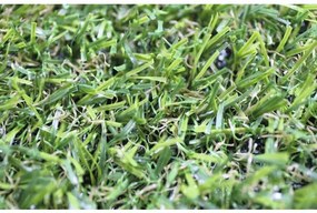 Umelý trávnik Garden Grass zelený šírka 300 cm (metráž)