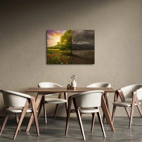 Obraz - Kolobeh života (70x50 cm)