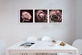 Obraz na plátně Panoramatická sada růží - 90x30 cm