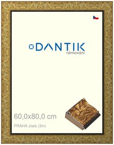 DANTIK rám na obraz 60x80 | PRAHA zlatá (Plexi Čiré)