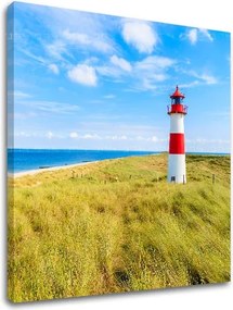 Obraz na stenu LÚKA_052-12