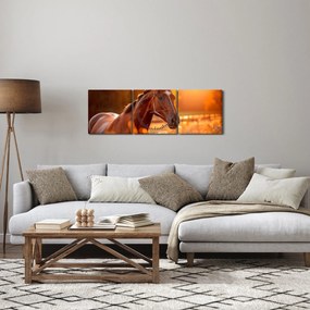 Obraz - Kôň v západe slnka (s hodinami) (90x30 cm)