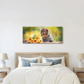 Obraz mačiatka pozerajúce sa na kvetinu (120x50 cm)
