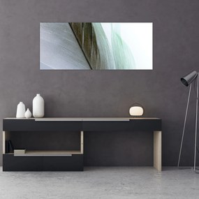 Obraz - Perie, makro (120x50 cm)