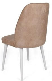 Súprava jedálenských stoličiek Dallas Mink and White, 2 ks