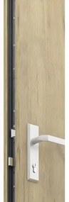 Kovové vchodové dvere S68 Neptun 90 P dub sonoma