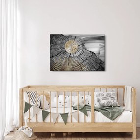 Obraz - Kmeň stromu v koláži (90x60 cm)