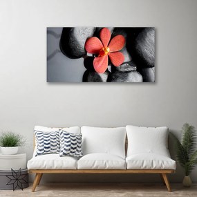 Obraz na plátne Kvet kamene umenie 125x50 cm