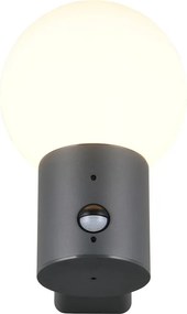 Nástenné vonkajšie svietidlo so senzorom pohybu ø 18 cm Mures – Trio