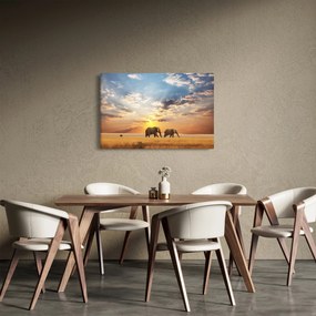 Obraz - Slony putujúce savanou (90x60 cm)