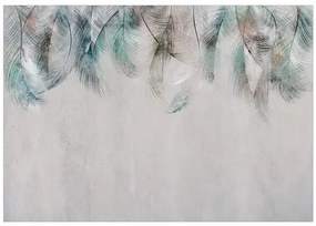 Fototapeta - Colourful Feathers Veľkosť: 250x175, Verzia: Standard