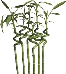 2G Lipov Chránič matraca Bamboo z prírodných vlákien - 85x195 cm