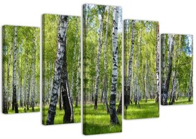 Obraz na plátně pětidílný Březový les - 150x100 cm