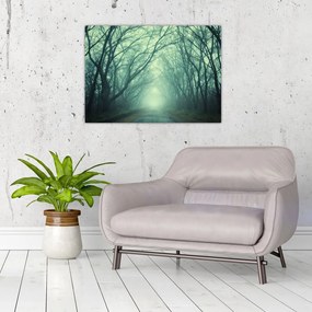 Obraz - Cesta s alejou stromov (70x50 cm)
