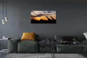 Obraz canvas Žirafy strom mraky 100x50 cm