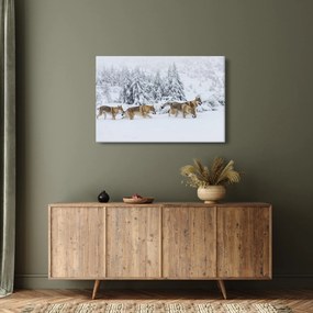 Obraz - Vlci v horách (90x60 cm)