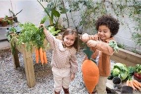 Detský vankúšik Cathy the Carrot – Lorena Canals