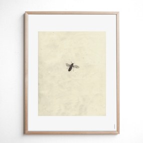 Fine Little Day Autorský plagát Fly by Brian McHenry 40 x 50 cm