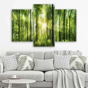 Gario Obraz na plátne Slnečné lúče v zelenom lese - 3 dielny Rozmery: 120 x 80 cm