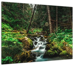 Obraz potoka v lese (70x50 cm)