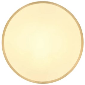 Globo 12381-22 - LED Stropné svietidlo TIBEY LED/22W/230V pr. 35 cm