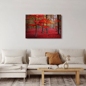 Obraz - Červený les (90x60 cm)